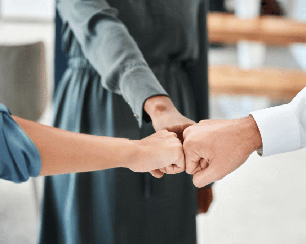 dental materials used in dentistry